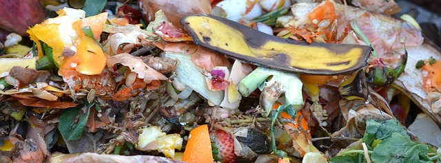 compost, fruit and vegetable waste, banana peel