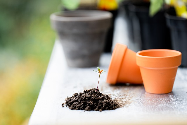 plants, soil, pots